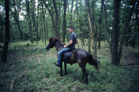 Porträt | Wienerwald | 2002